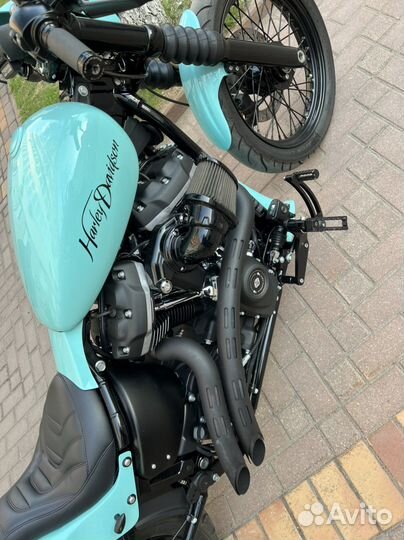 Harley Davidson street bob (fxbb str)