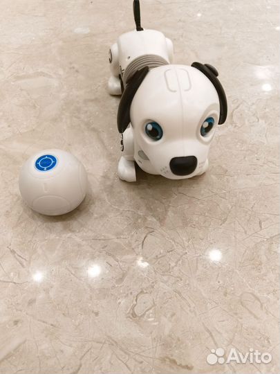 Ycoo робот собака