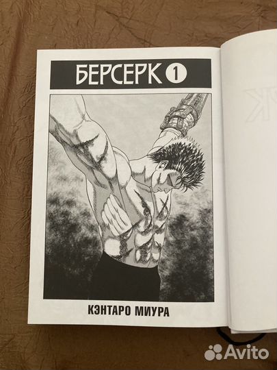Берсерк, 1 том