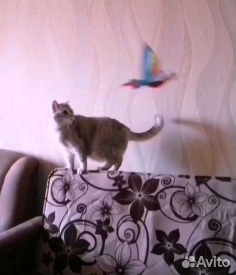 Интерактивная игрушка для кота/кошки, собаки