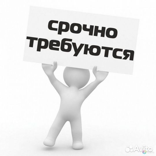 Сотрудники в школьную столовую