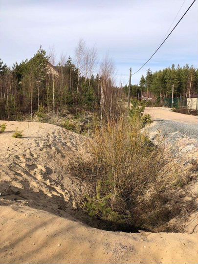 Участок 22 сот. (СНТ, ДНП)