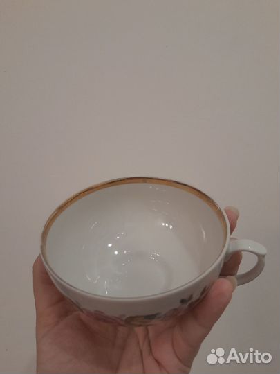 Чашка Дулево