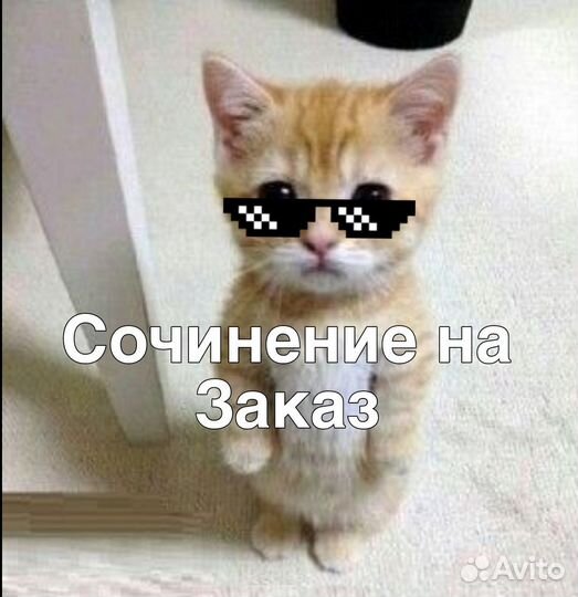 Напишу сочинение
