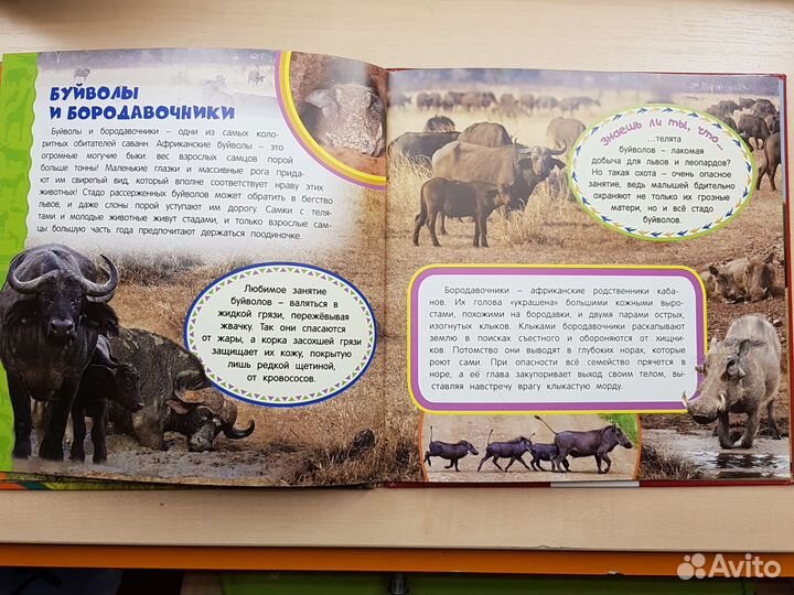 Книга-энциклопедия 