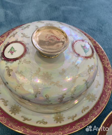 ГДР 'Роза 'масленка