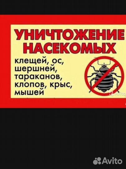 Дезинсекция от насекомых