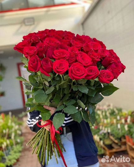 Высокие розы Гигантские розы с доставкой