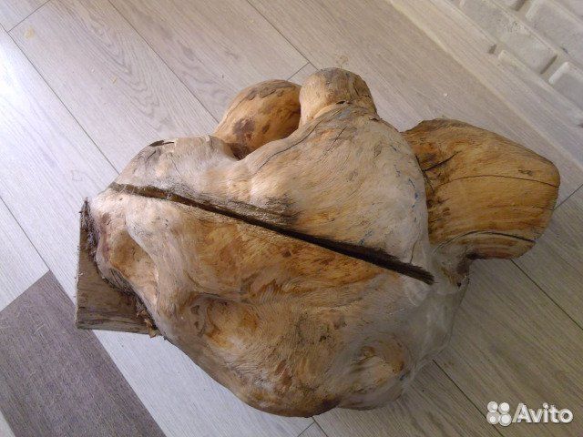 Сувель березовый (кап)