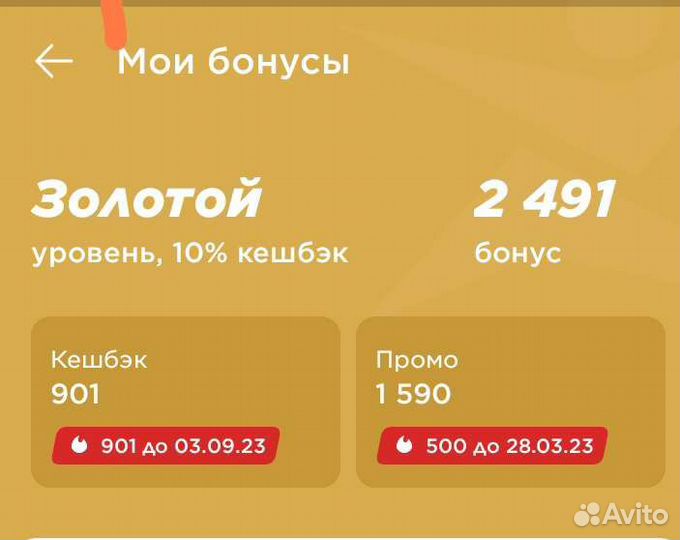 Отдам бонусы спортмастер
