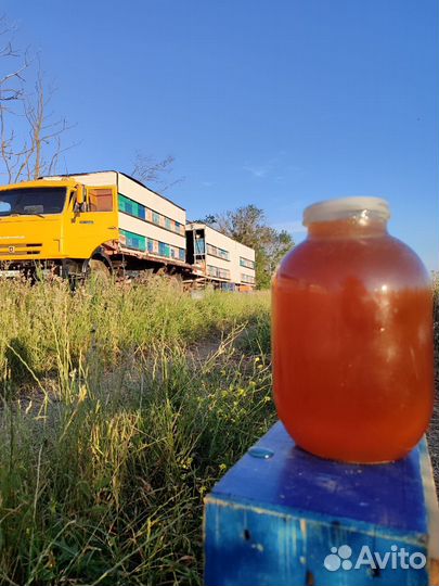 Мёд Расторопша+ Акация