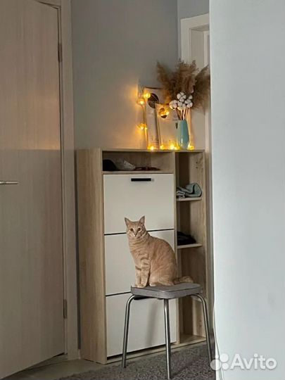 Обувница вместительная (18 пар обуви), новая