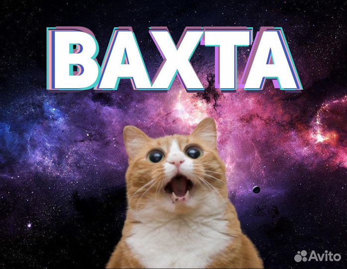 Упаковщик вахта в г. Москва