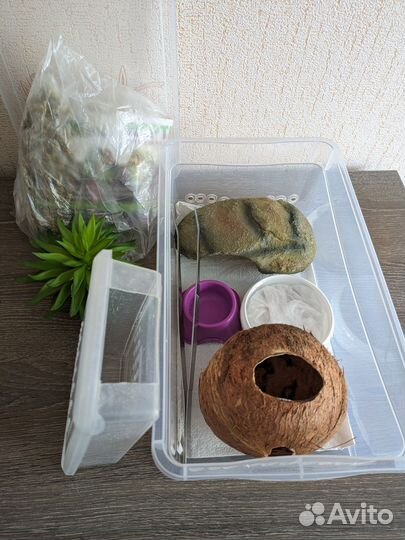 Набор для содержания эублефаров