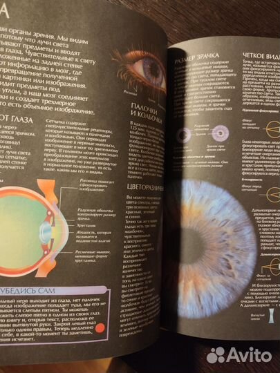 Большая книга знаний