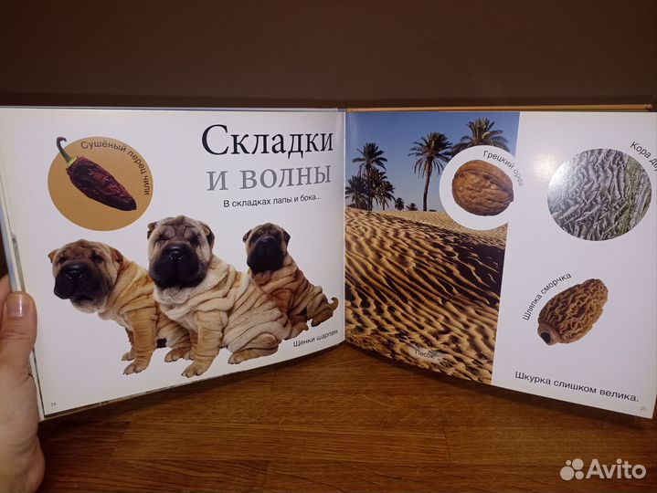 Книжка для малышей