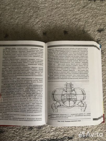 Атлас по анатомии Самусева
