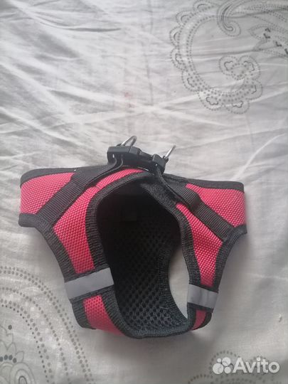 Шлейка для собаки