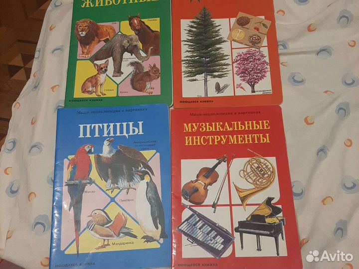 Мини-энциклопедия в картинках