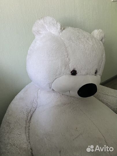 Большие плюшевые медведи
