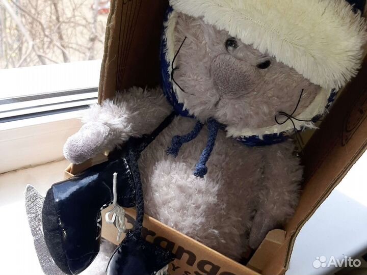 Котик-описание под фото