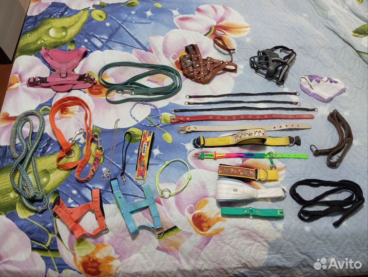 Амуниция для собак