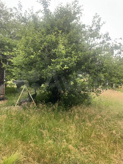 Дача 49 м² на участке 6 сот.