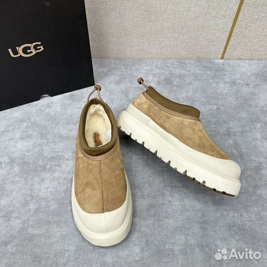 Слипоны ugg мужские