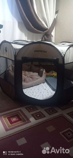 Манеж для собак котов