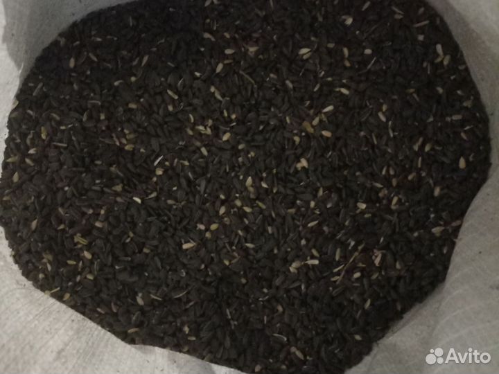 Сено в тюках Солома в тюках