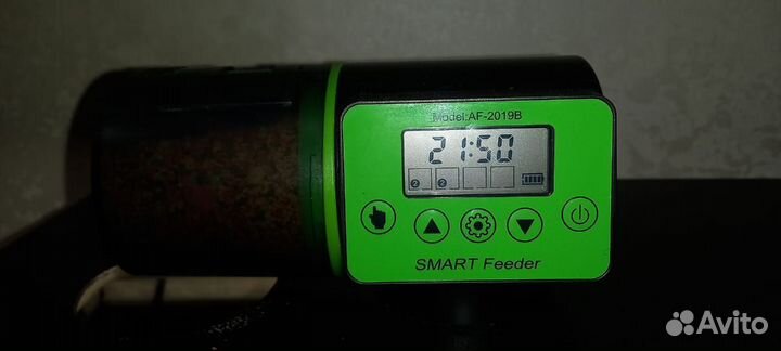 Аквариум с рыбками