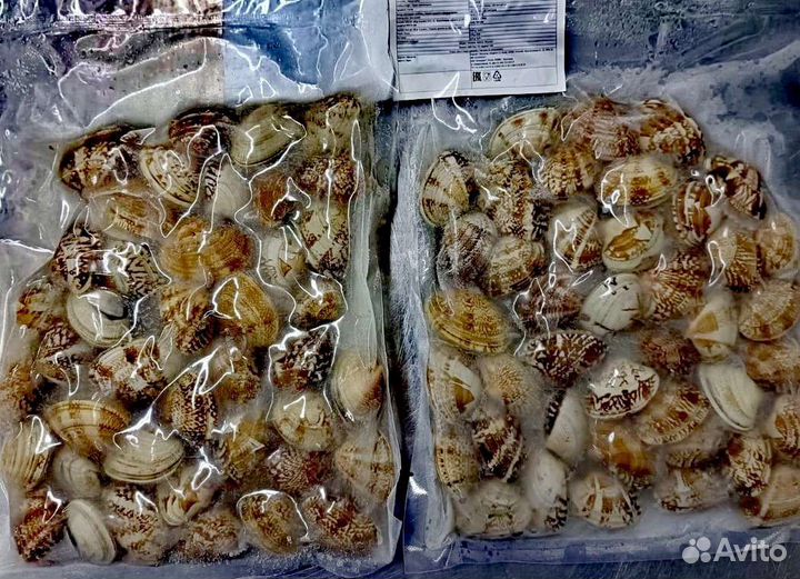 Клеммы вонголе