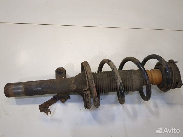 Амортизатор подвески Ford Transit, 2006