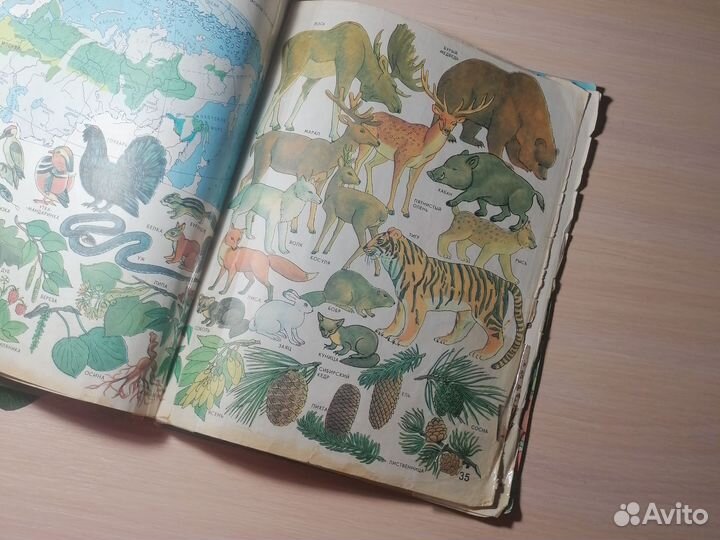 Атлас мир и человек СССР 1988 бу