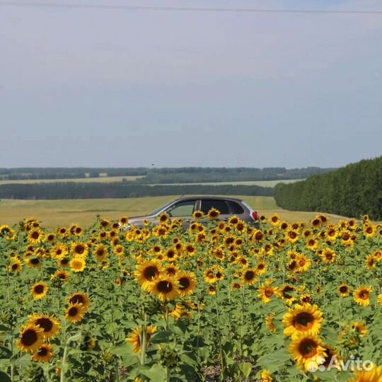 Личный водитель