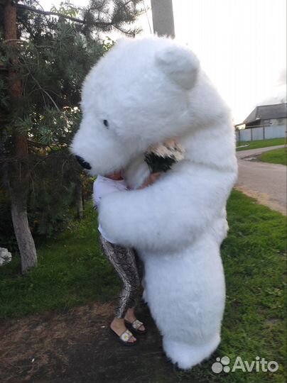 Белый мишка панда чебурашка аниматоры