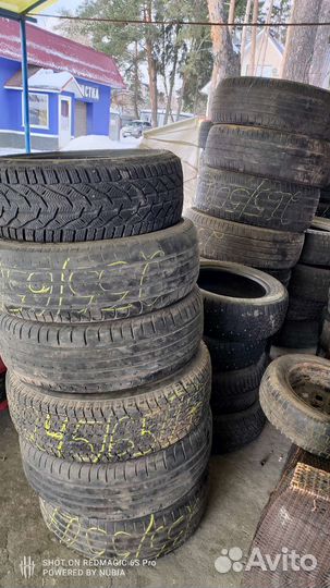 Accelera Beta 14/50 R14 и 195/50 R15