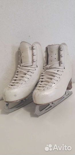 Коньки edea chorus 230