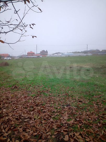 Участок 1,63 га (СНТ, ДНП)