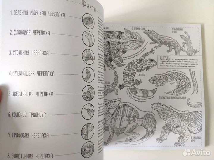 Потрясающая книга раскраска животные птицы рыбы