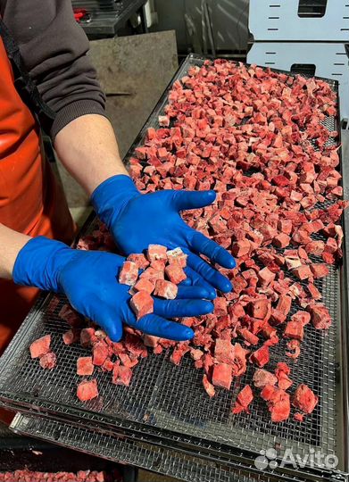 Лакомство для собак и кошек