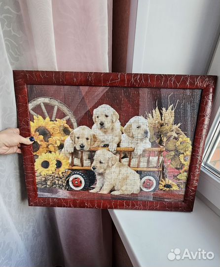 Картина лабрадор, кошки, цветы