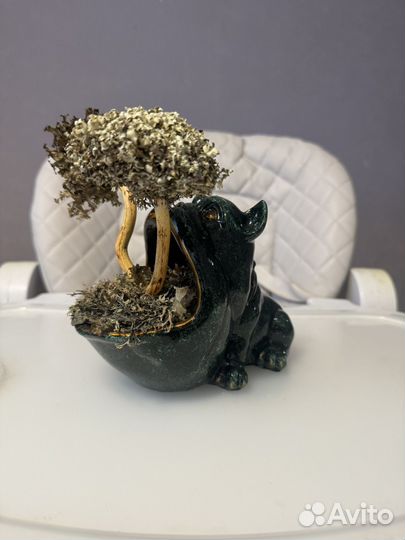 Дерево из цетрарии