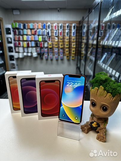 iPhone 12 mini, 256 ГБ