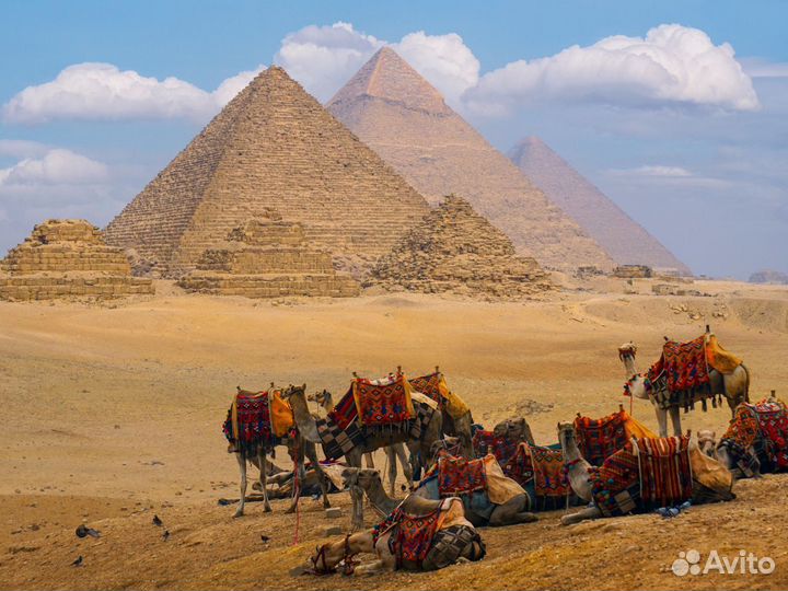 Путевка в Египет от 6 дней