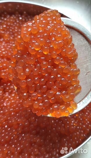 Свежая икра