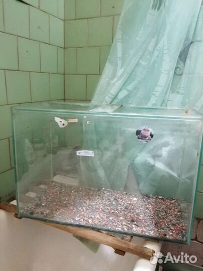 Аквариум