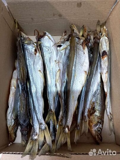 Корюшка сушено-вяленная