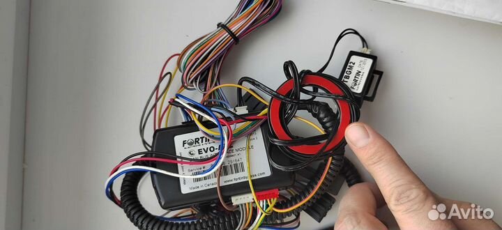 Автозапуск fortin