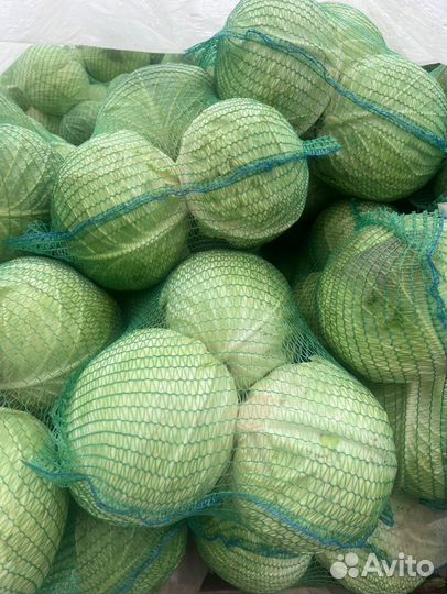 Капуста опт